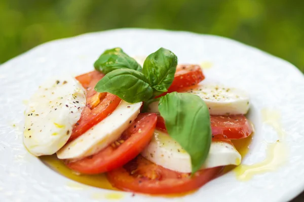 Κλασικό caprese σαλάτα — Φωτογραφία Αρχείου