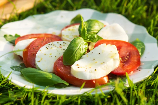 Klassischer Caprese-Salat — Stockfoto