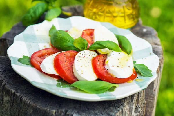 Κλασικό caprese σαλάτα — Φωτογραφία Αρχείου