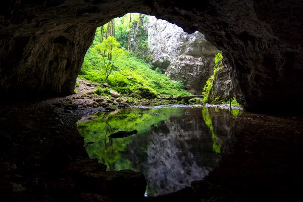 Descobrindo cavernas selvagens — Fotografia de Stock