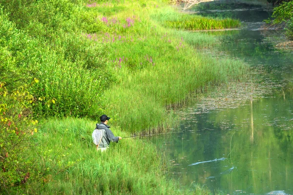 Balıkçı bir dağ nehir fly — Stok fotoğraf