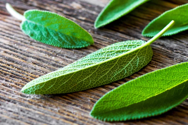 Fresh sage on old wooden table — Stock Photo, Image