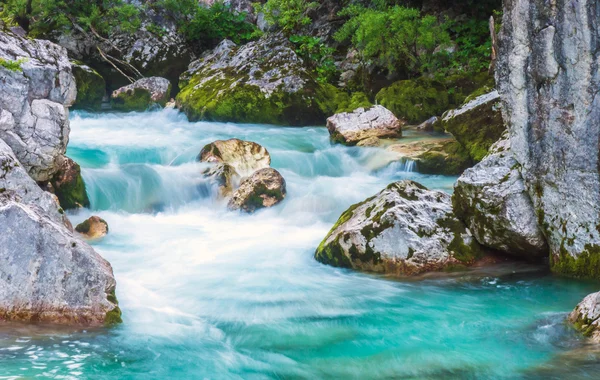 Rivière turquoise dans le parc national du Triglav — Photo