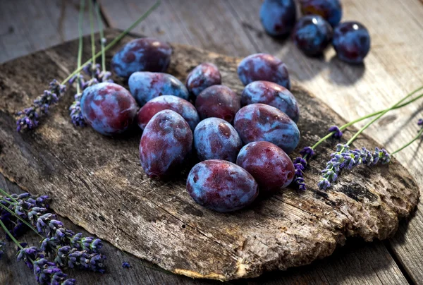 Frische reife Pflaumen — Stockfoto