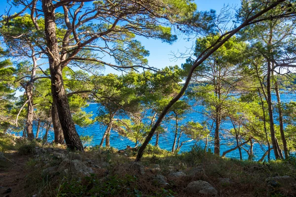 Morze Adriatyckie niebieski — Zdjęcie stockowe