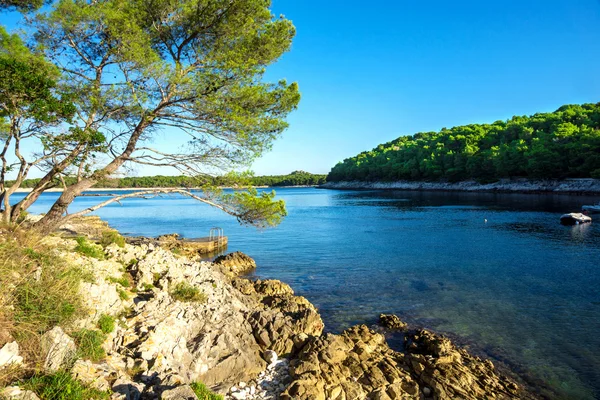 Morze Adriatyckie niebieski — Zdjęcie stockowe