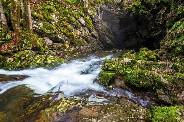 Ormanın Ortasındaki Orman Deresi — Stok fotoğraf