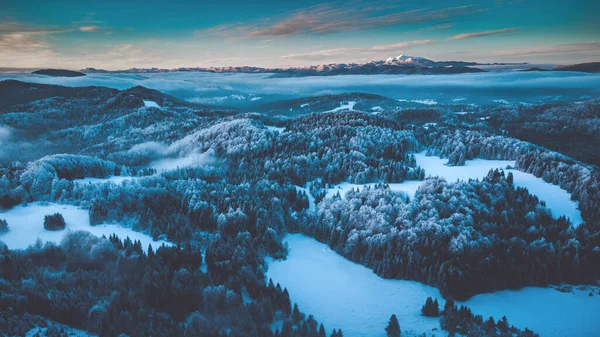 Paisagem Inverno Com Neve Eslovênia — Fotografia de Stock