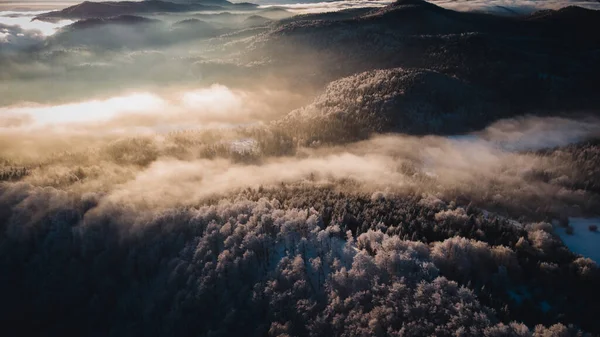 Paisagem Inverno Com Neve Nevoeiro Eslovênia — Fotografia de Stock