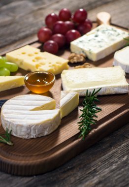 çeşitli peynir türleri