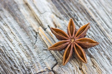 Anason star yakın çekim