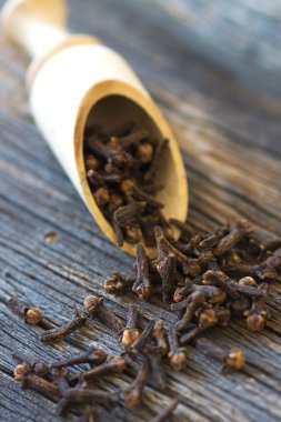 Karanfil (baharat) bir tahta kaşık