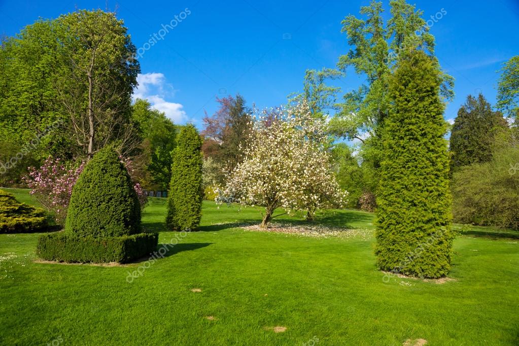 alberi decorativi alberi decorativi