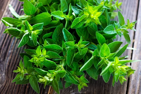 Un mucchio di menta fresca e verde — Foto Stock