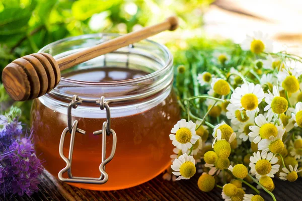 Glazen pot met gouden honing — Stockfoto