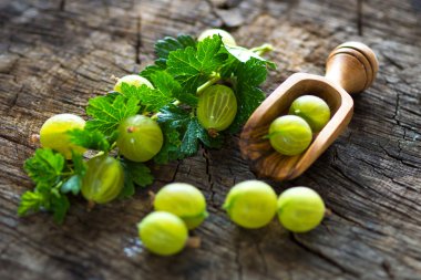 Bektaşi üzümü yeşil grup