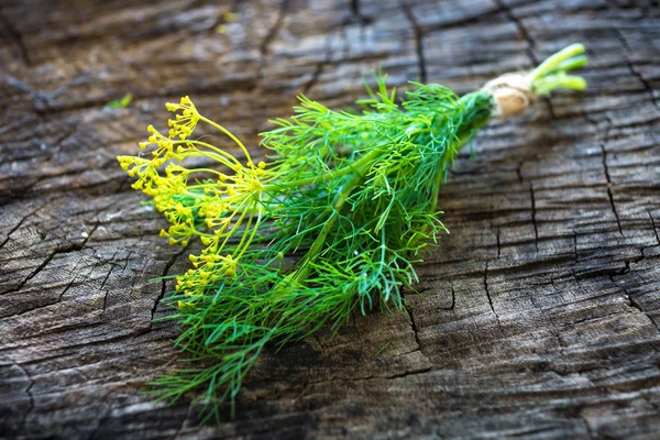 Banke aus frischem, grünem Dill — Stockfoto