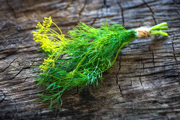 Banch of fresh, green dill — Stock Photo, Image