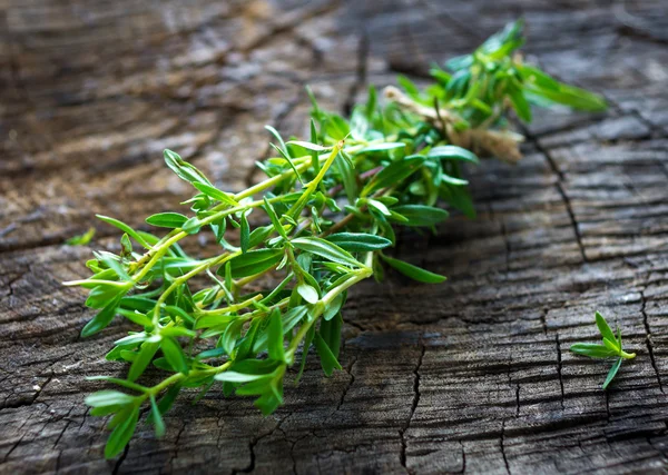 Fresh, green thyme branch — Stock Photo, Image