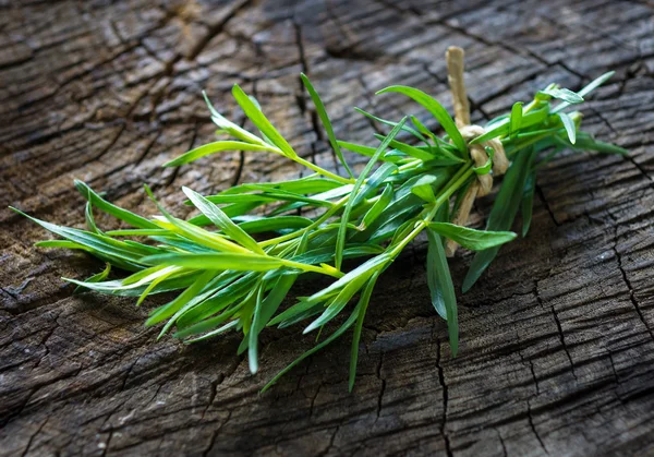 Fresh, green rosemary branch — Stock Photo, Image