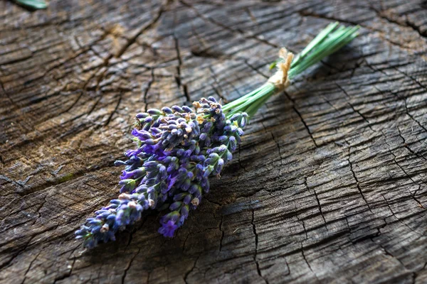 Banch van verse lavanda — Stockfoto