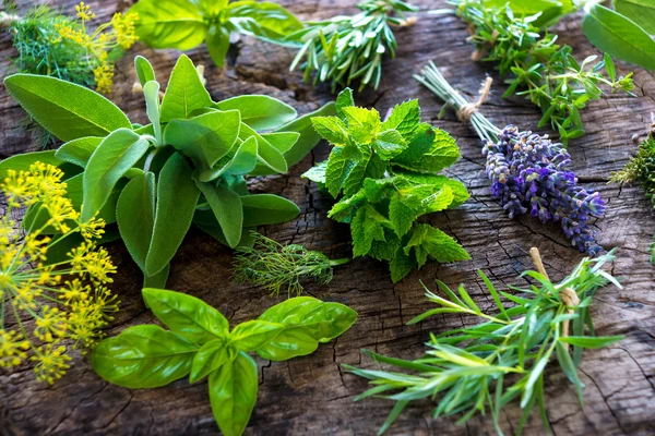 Friss, zöld fajta gyógynövények — Stock Fotó