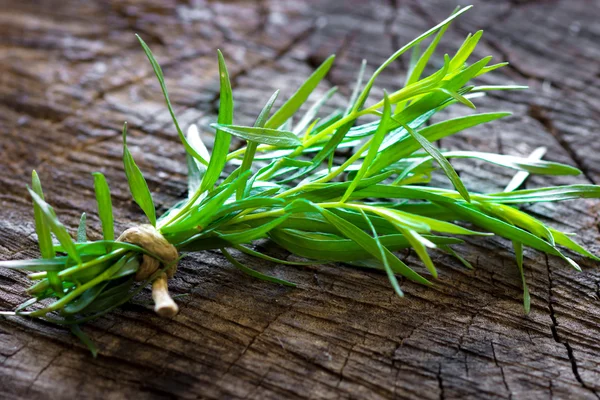 Ramo di rosmarino fresco e verde — Foto Stock