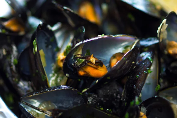 Boiled, opened, black mussels — Stock Photo, Image