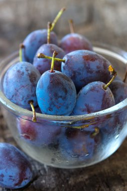Fresh plums in glass bowl