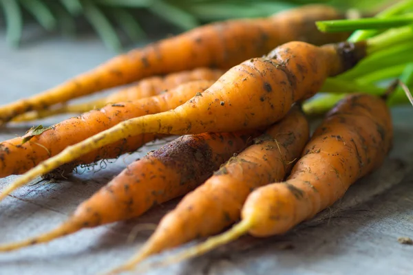 Verse oranje wortelen — Stockfoto