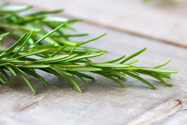 Bunch of fresh tarragon — Stock Photo, Image