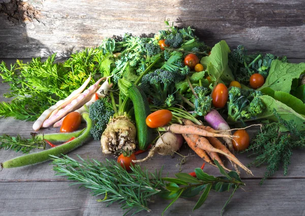 Pile of variety fresh vegetables — Stock Photo, Image