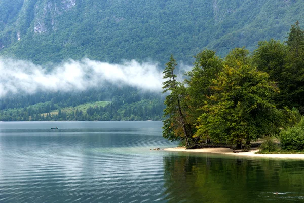 Foggy summer morning — Stock Photo, Image