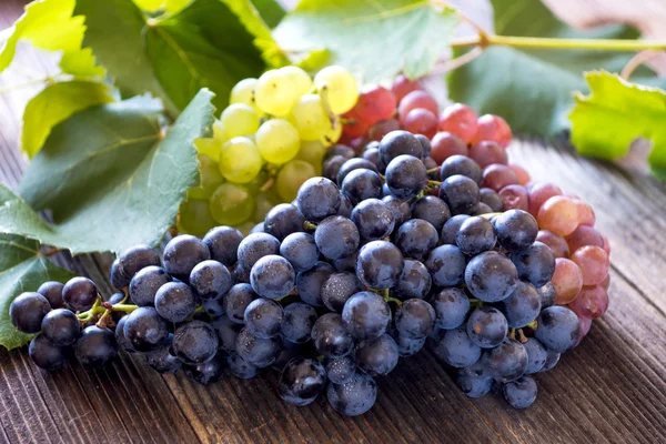 Fresh grapes with leaves — Stock Photo, Image