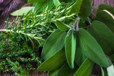 Taze hasat yeşil otlar