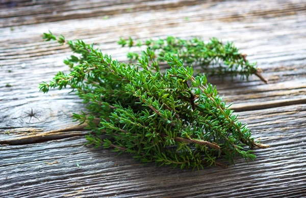 Fresh thyme twigs — Stock Photo, Image