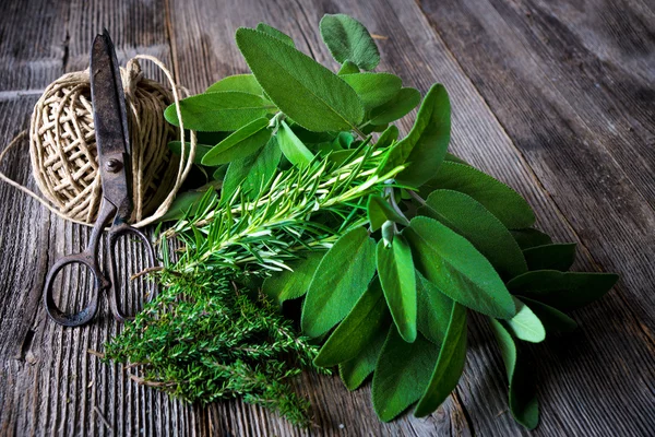 Freshly harvested herbs — Stock Photo, Image