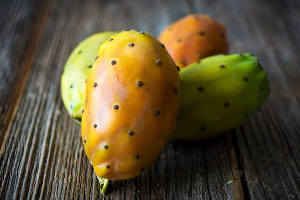 Cactus higueras — Foto de Stock