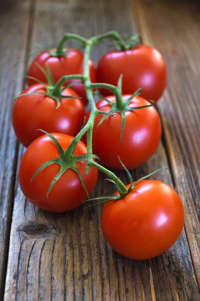 Twig with fresh tomatoes — Stock Photo, Image