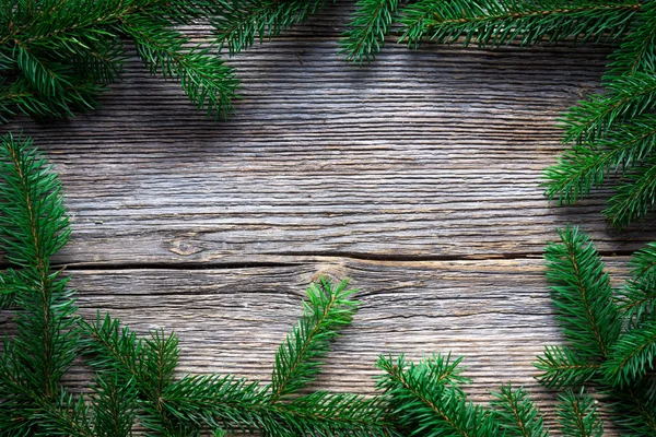 Cornice albero di abete di Natale — Foto Stock