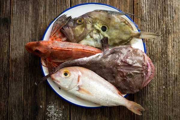 Peixes de água salgada fresca — Fotografia de Stock