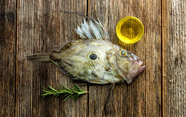 Pescado fresco John Dory — Foto de Stock