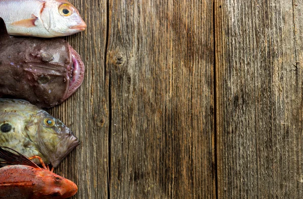 신선한 바다 물고기 — 스톡 사진