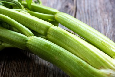 Taze yeşil kereviz dal