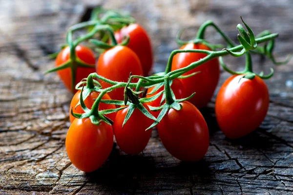 Ramita de tomates cherry frescos — Foto de Stock