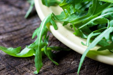 Taze yeşil rucola yaprakları