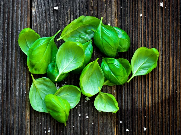 Fresh green basilic leaves — Stock Photo, Image