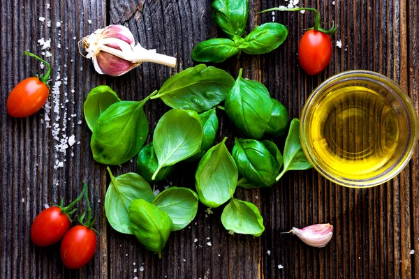 Basilic bladeren, tomaten en olijfolie — Stockfoto