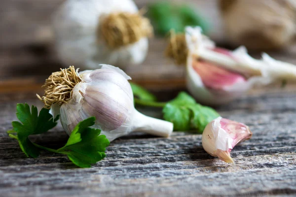 Närbild av vitlök och örter — Stockfoto