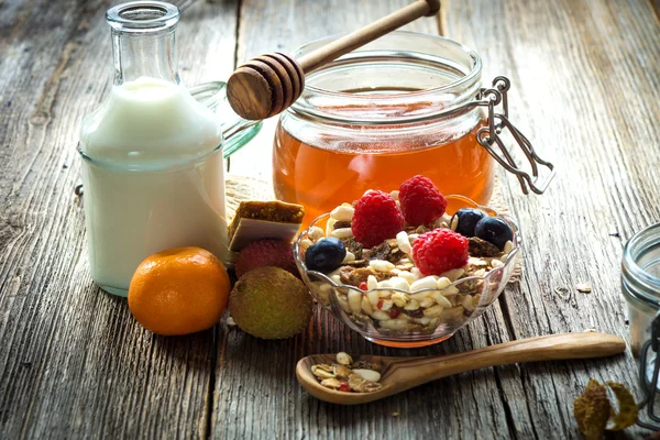 Med, mléko a müsli s ovocem — Stock fotografie